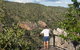 Blencoe Falls, Girringun National Park - thumb 1