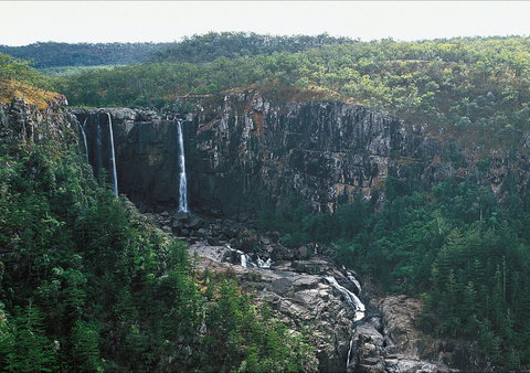 Blencoe Falls, Girringun National Park - Tourism Canberra 2