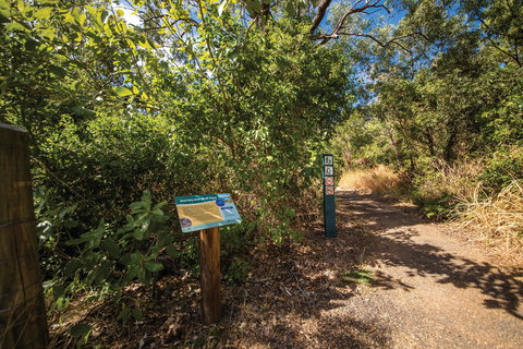 Bluff Point Circuit, Capricorn Coast National Park - Tourism Canberra 1
