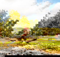 Bright - Tourism Canberra