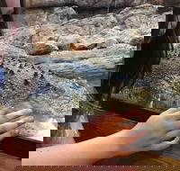 Canberra Reptile Zoo - Tourism Canberra