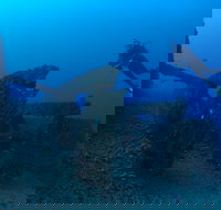 Cementco Dive Site - Tourism Canberra