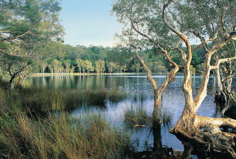 Cooloola, Great Sandy National Park - Tourism Canberra 1