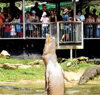 Crocodylus Park and Zoo - Tourism Canberra