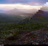 Cunninghams Gap and Spicers Gap Main Range National Park - Tourism Canberra