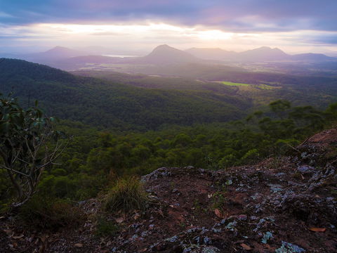 Cunninghams Gap And Spicers Gap, Main Range National Park - Tourism Canberra 0