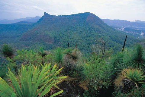 Cunninghams Gap And Spicers Gap, Main Range National Park - Tourism Canberra 1