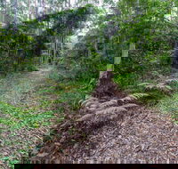 Double Wharf Trail - Tourism Canberra