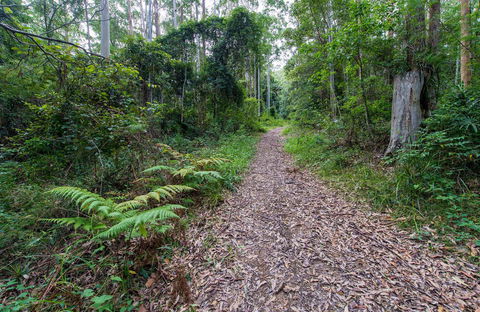 Double Wharf Trail - Tourism Canberra 0