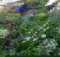 Down to Earth Permaculture - Tourism Canberra