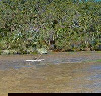 Fitzpatrick Park - Tourism Canberra