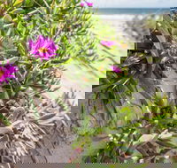 Fort Bribie - Tourism Canberra
