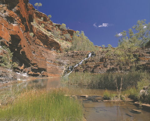 Fortescue Falls - Tourism Canberra 1