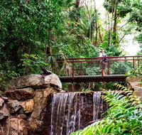 George Brown Darwin Botanic Gardens - Tourism Canberra