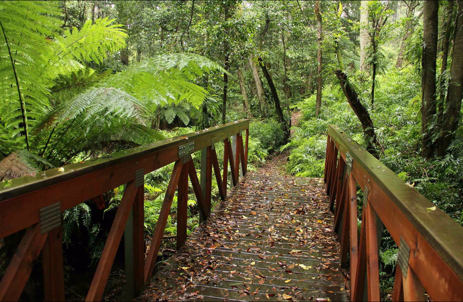 South Wolumla NSW Tourism Canberra