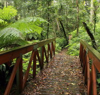 Goodenia Rainforest Walking Track - Tourism Canberra