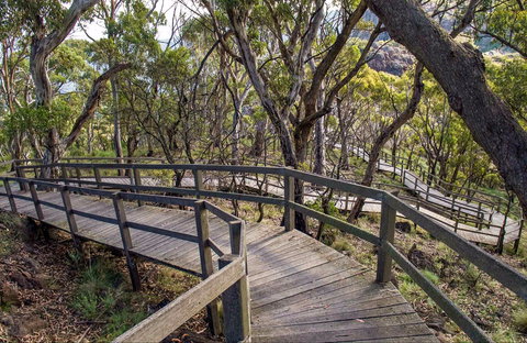 Governor Summit (Corrunbral Borawah) Walking Track - Tourism Canberra 0