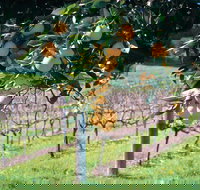 Harvey - Tourism Canberra