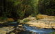 Jumrum Creek Walk, Jumrum Creek Conservation Park - thumb 0
