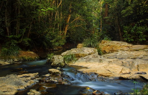 Jumrum Creek Walk, Jumrum Creek Conservation Park - Tourism Canberra 0