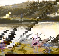 Lake Alford Recreational Park - Tourism Canberra