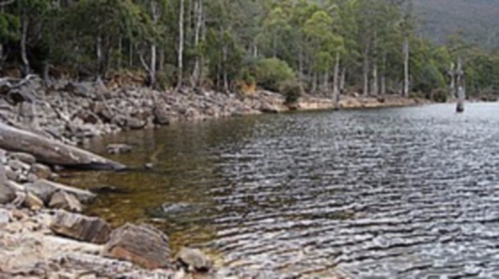 Liena TAS Tourism Canberra