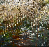 Leeuwin-Naturaliste National Park - Cowaramup - Tourism Canberra