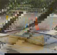 Lismore Skate Park - Tourism Canberra