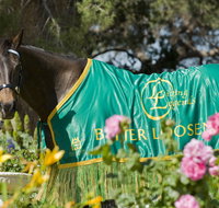 Living Legends The International Home of Rest for Champion Horses - Tourism Canberra