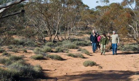 Mallee Stop Walking Track - Tourism Canberra 0
