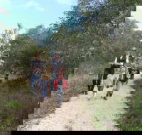 Meningie Lions Walking Trail - Tourism Canberra