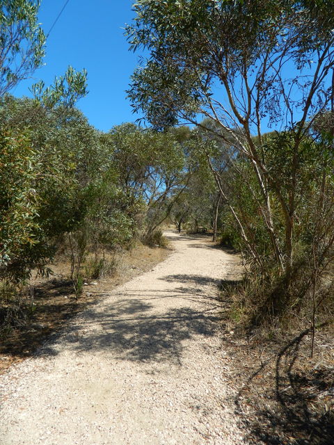 Meningie Lions Walking Trail - Tourism Canberra 2
