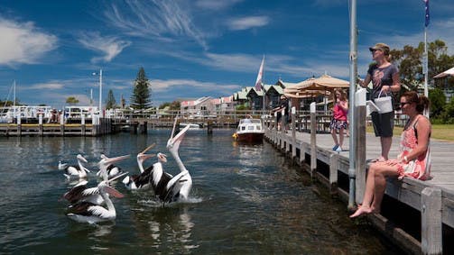 Metung VIC Tourism Canberra
