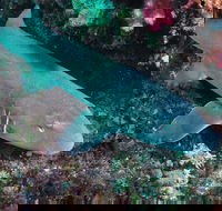 Middle Reef Dive Site - Tourism Canberra