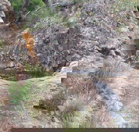 Mill-bullah Walking Track - Tourism Canberra