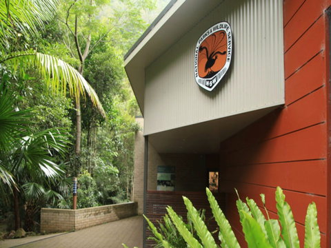 Minnamurra Rainforest Centre: Budderoo National Park - Tourism Canberra 0