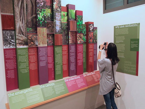 Minnamurra Rainforest Centre: Budderoo National Park - Tourism Canberra 1