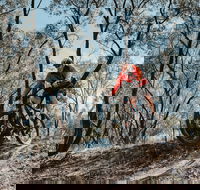 Mountain Bike Trails Deniliquin - Tourism Canberra