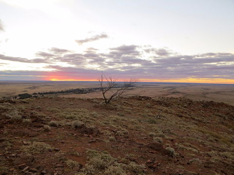 Mundi Mundi Plains - Tourism Canberra 0