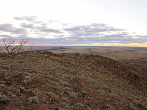 Mundi Mundi Plains - Tourism Canberra 2