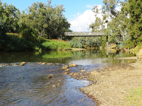 Namoi River And Woolshed Reserve - Tourism Canberra 0