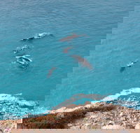 Nullarbor National Park - Tourism Canberra
