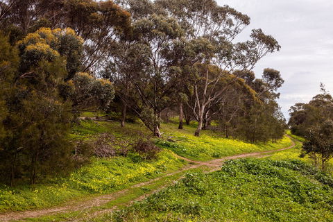 O'Halloran Hill Recreation Park - Tourism Canberra 1