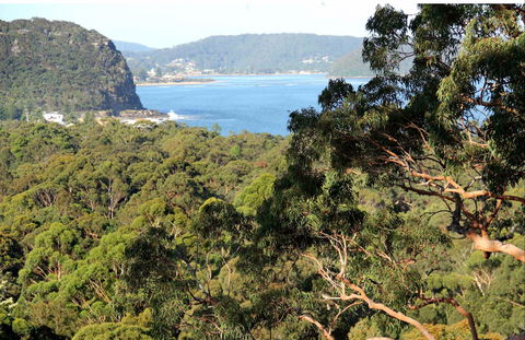 Patonga To Pearl Beach Walking Track - Tourism Canberra 0