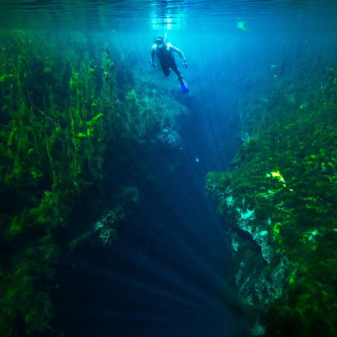 Piccaninnie Ponds Conservation Park - Tourism Canberra 0