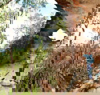 Pilliga Forest - Tourism Canberra