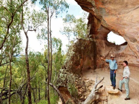 Pilliga Forest - Tourism Canberra 0