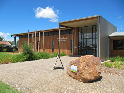 Pilliga Forest - Tourism Canberra 2