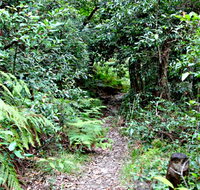 Seaforth Oval to Natural Bridge Track - Tourism Canberra