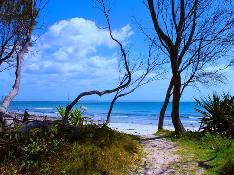 Shark Bay - Tourism Canberra 0